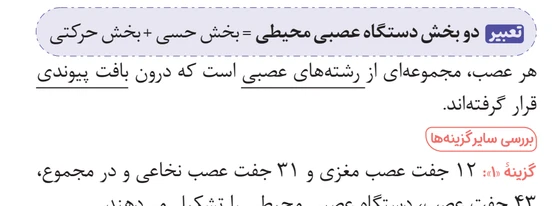 نمونه تسfsaasasfasfsafs